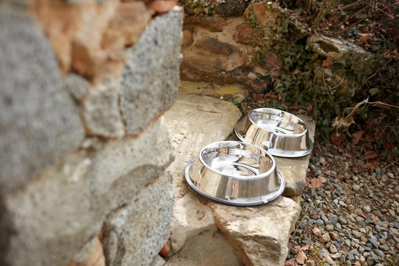 Villetta Con Giardino ⭑⭑⭑⭑⭑ - Wifi, Dogs Allowed بييلا المظهر الخارجي الصورة