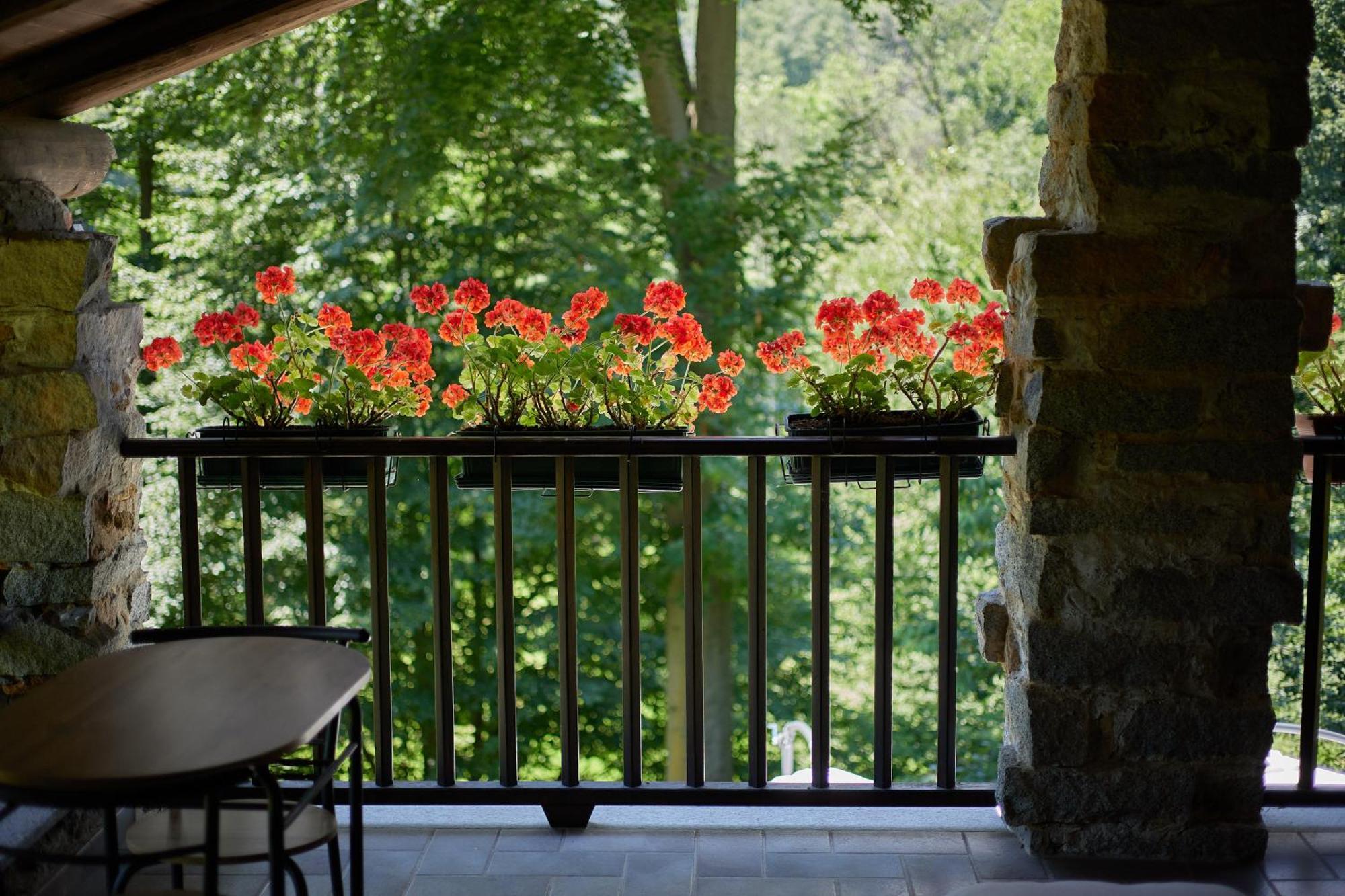 Villetta Con Giardino ⭑⭑⭑⭑⭑ - Wifi, Dogs Allowed بييلا المظهر الخارجي الصورة
