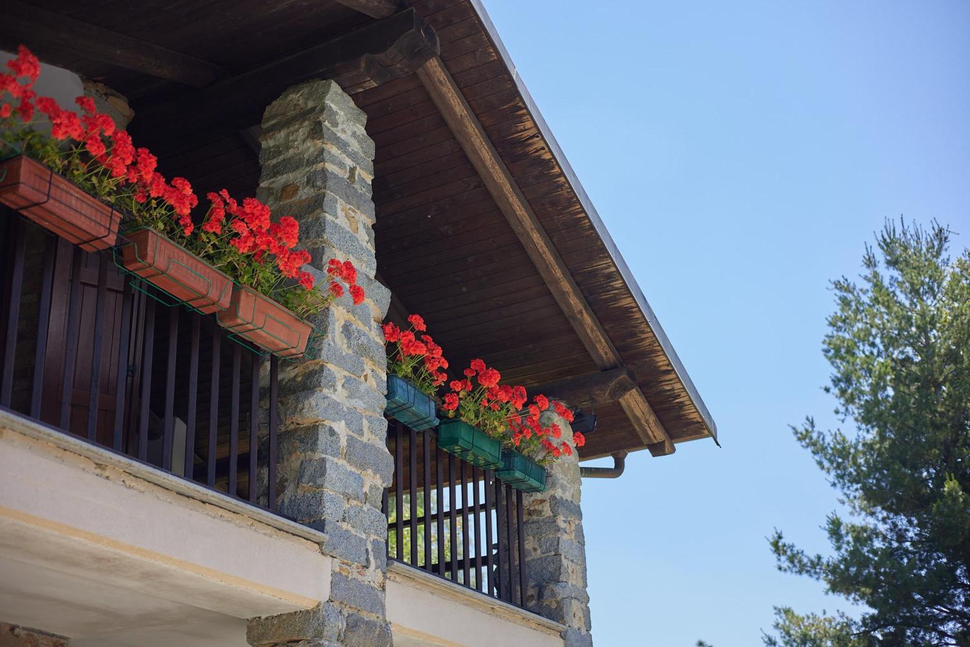 Villetta Con Giardino ⭑⭑⭑⭑⭑ - Wifi, Dogs Allowed بييلا المظهر الخارجي الصورة